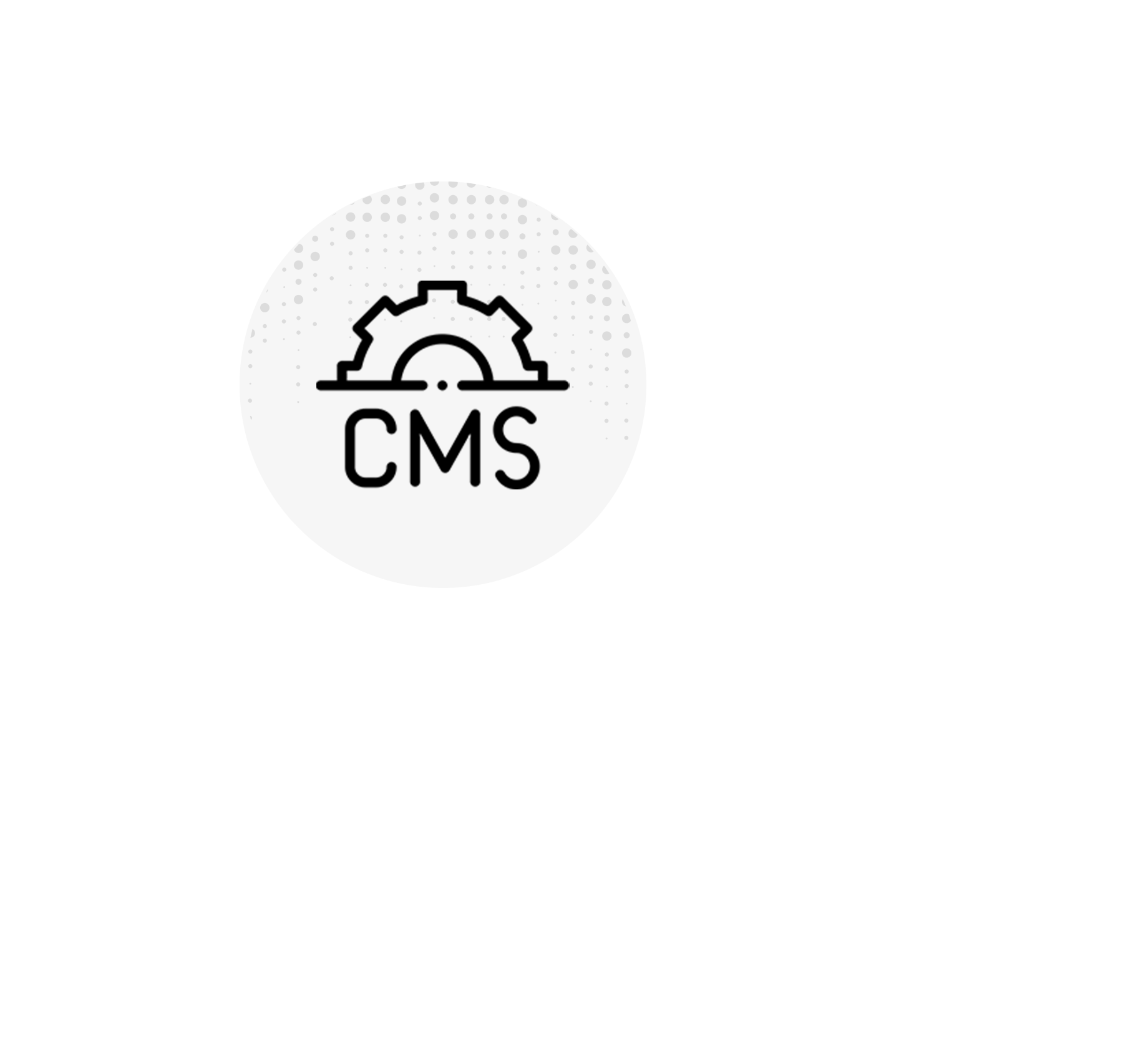 Custom CMS Solutions- icon